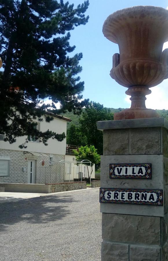 Divaca, Vila Srebrna Bagian luar foto